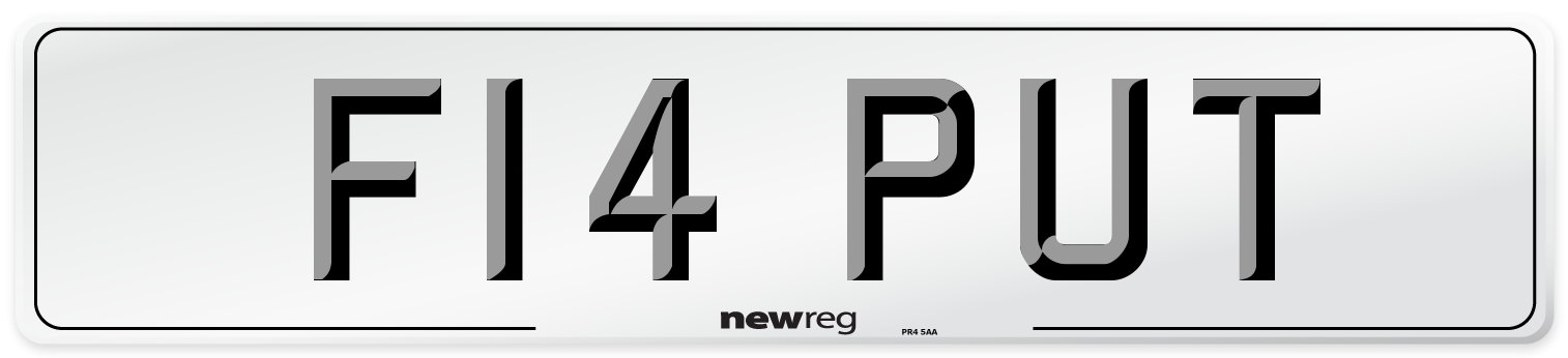 F14 PUT Number Plate from New Reg